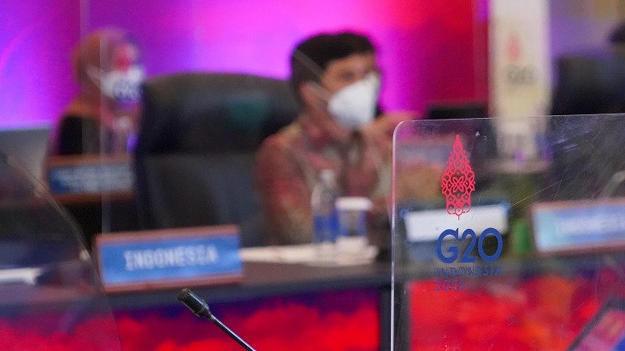 Health Working Group 3 G20