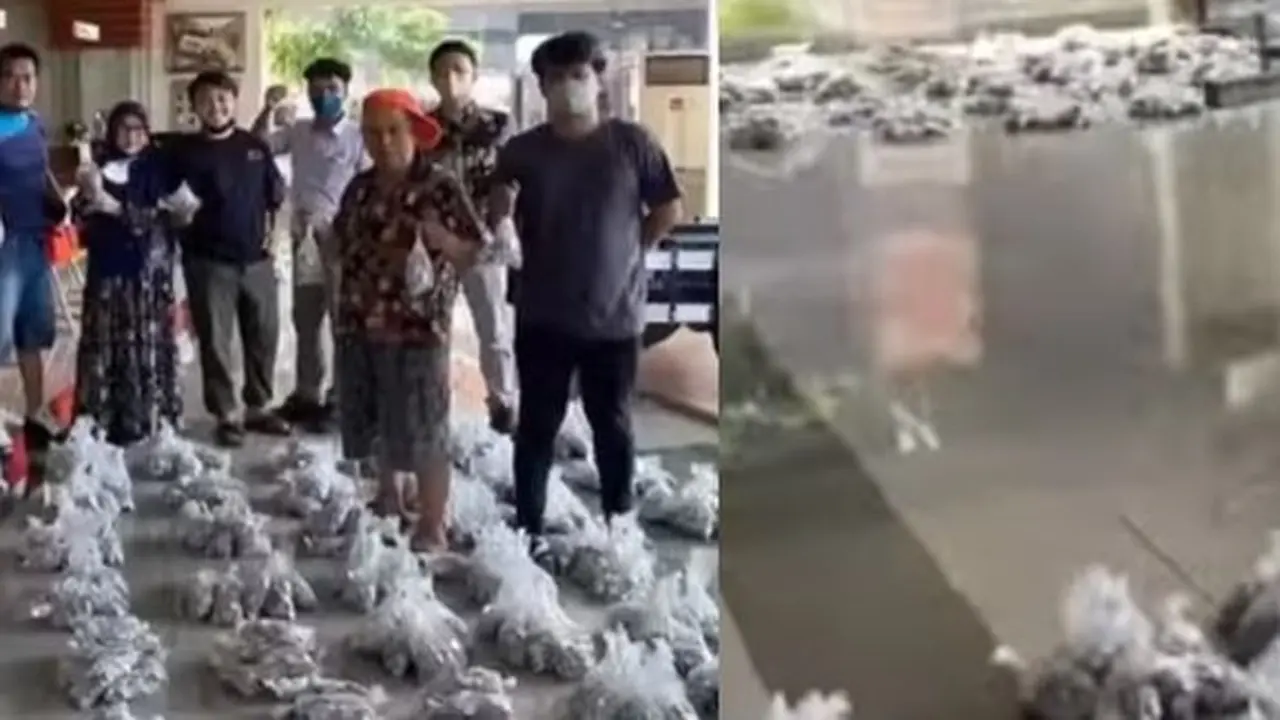 Kumpulan uang koin