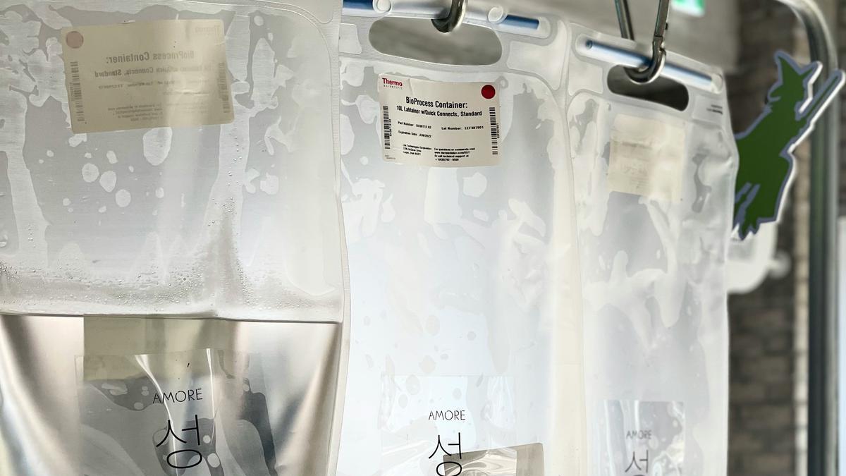 Keunggulan NaCl Dibanding Air Biasa untuk Membersihkan Luka Terbuka, Ini Alasannya