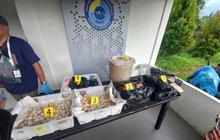 Satgas Gabungan Gagalkan Penyelundupan 2.253 Telur Penyu di Perbatasan Jagoi Babang