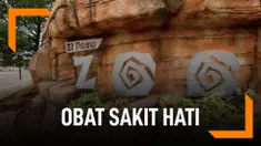 obat sakit hati
