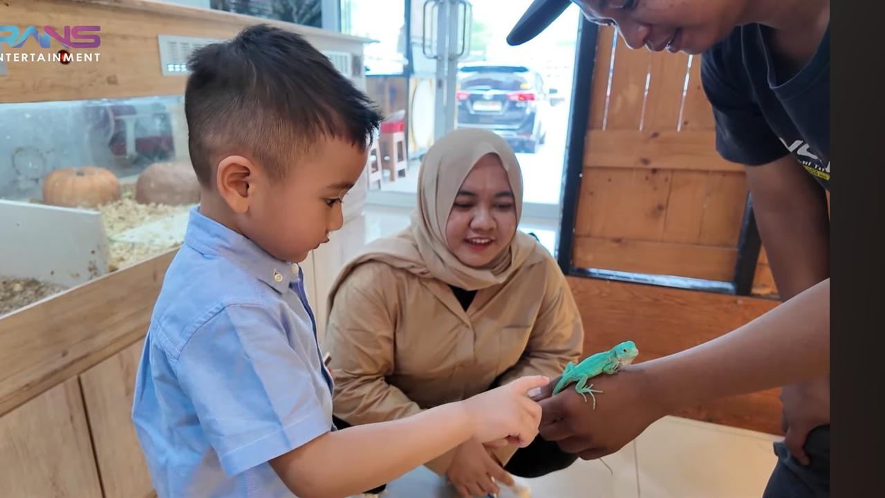 Semula Mau Bunglon, Potret Rayyanza Akhirnya Pilih Iguana Jadi Peliharaan Baru - Langsung Kasih Nama Dinoco The King