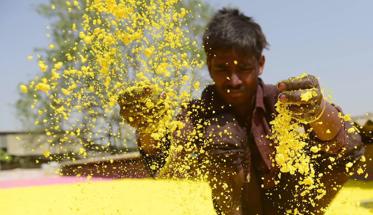 Pekerja menaburkan bubuk warna herbal yang ramah lingkungan untuk dikeringkan yang akan digunakan pada festival Holi di sebuah pabrik di pinggiran Ahmedabad, India (7/3). (AFP Photo/ Sam Panthaky)
