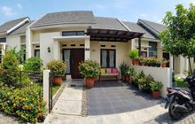 16 Tanaman Berbunga yang Tahan Panas untuk Teras Depan Rumah, Mudah Dirawat