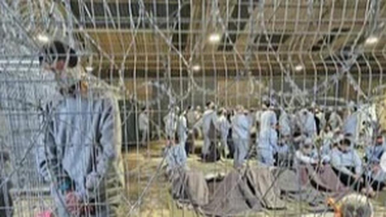 Laporan Terbaru Penyiksaan Warga Palestina di Penjara Israel Terungkap, Isinya Luar Biasa Keji