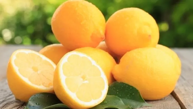 copyright by Shutterstock.com