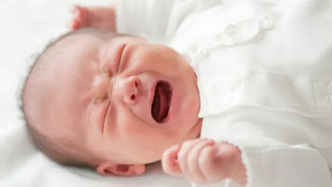 Foto: copyright Thinkstockphotos.com