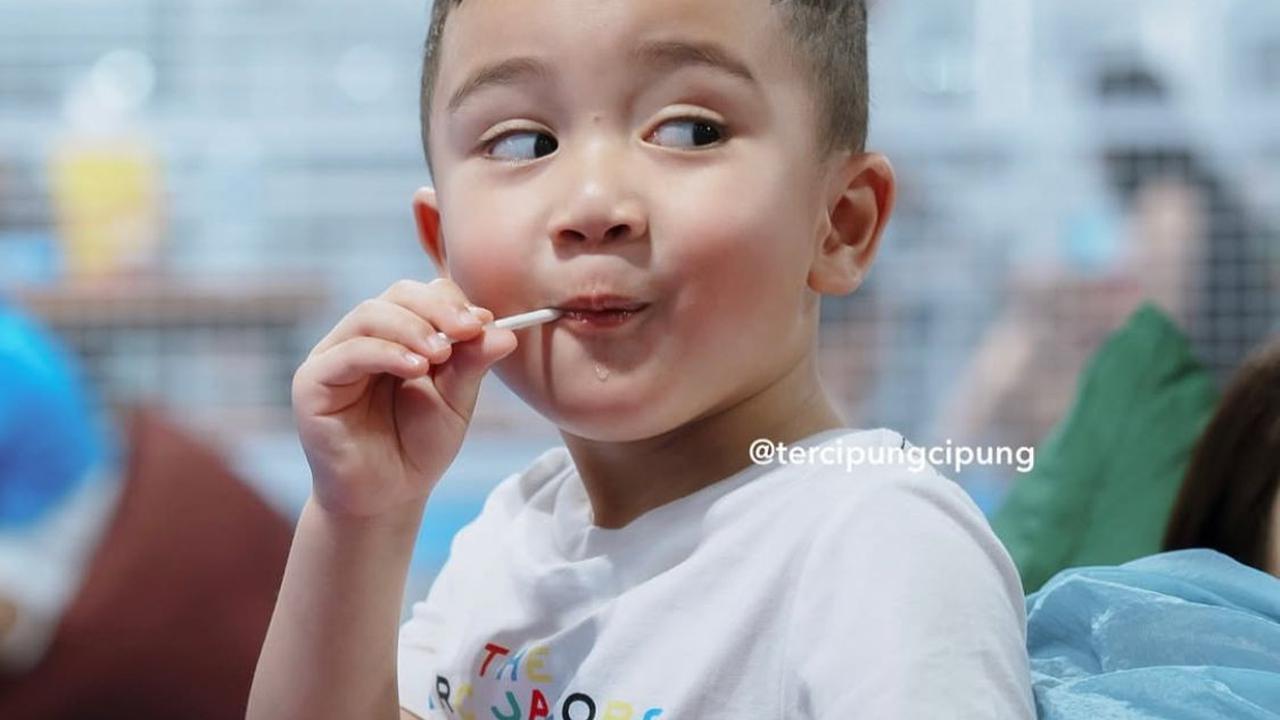 5 Potret Cipung dengan Lolipop di Tangan, Ekspresi Lucunya yang Sukses Curi Perhatian