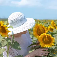 Bunga matahari./Copyright shutterstock.com/g/levnat09