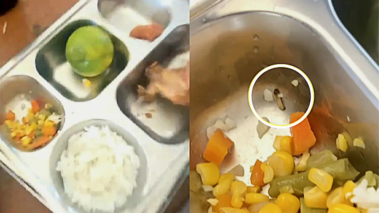 Video pendek viral di media sosial kembali menunjukan temuan belatung di dalam menu Makan Bergizi Gratis (MBG) yang terjadi di Sulawesi Selatan.