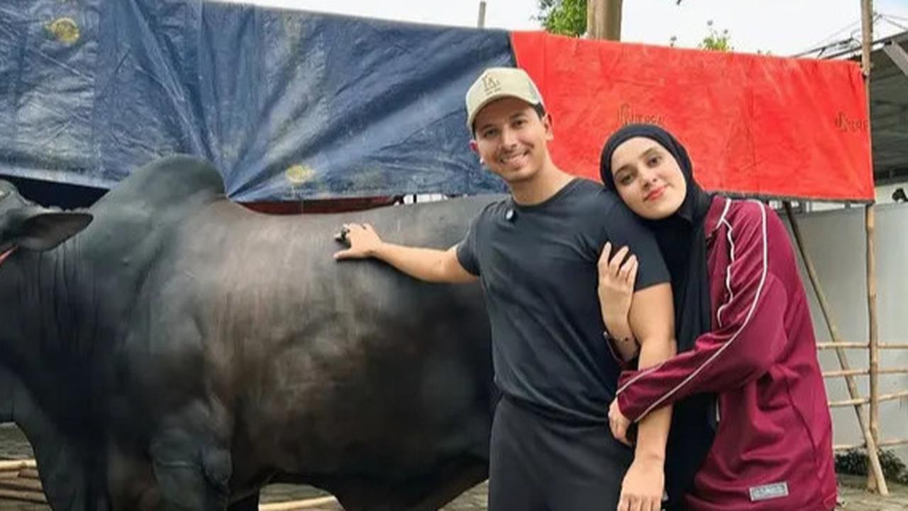 Potret Sapi-Sapi Jumbo Artis Indonesia di Idul Adha 2025, Punya Sonny Septian 1,2 Ton Hadiah dari Raffi Ahmad
