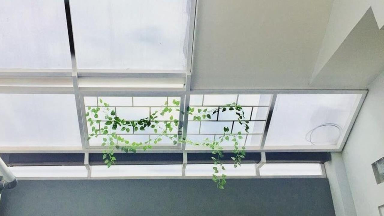Inspirasi Kanopi Belakang Rumah Minimalis, Estetis, dan Modern