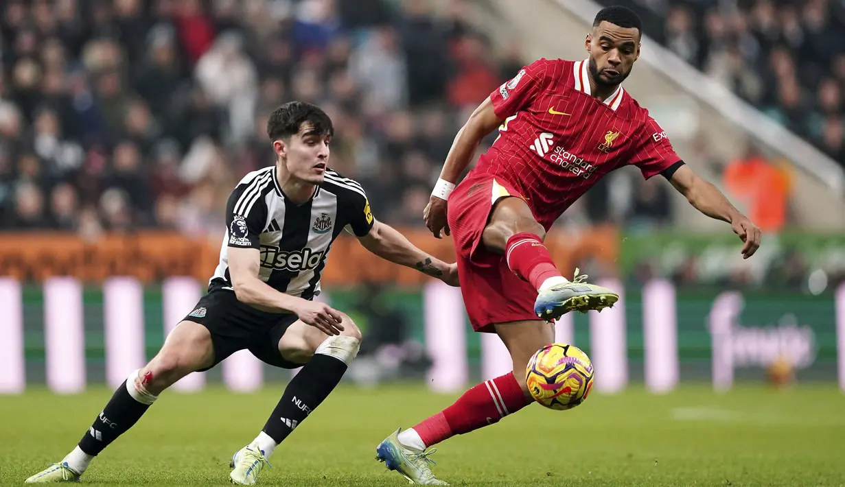 Pemain Liverpool, Cody Gakpo (kanan) berebut bola dengan pemain Newcastle, Tino Livramento pada laga lanjutan Liga Inggris 2024/2025 di St James Park Stadium, Newcastle, Inggris, Kamis (05/12/2024) WIB. (AP Photo/Ian Hodgson)