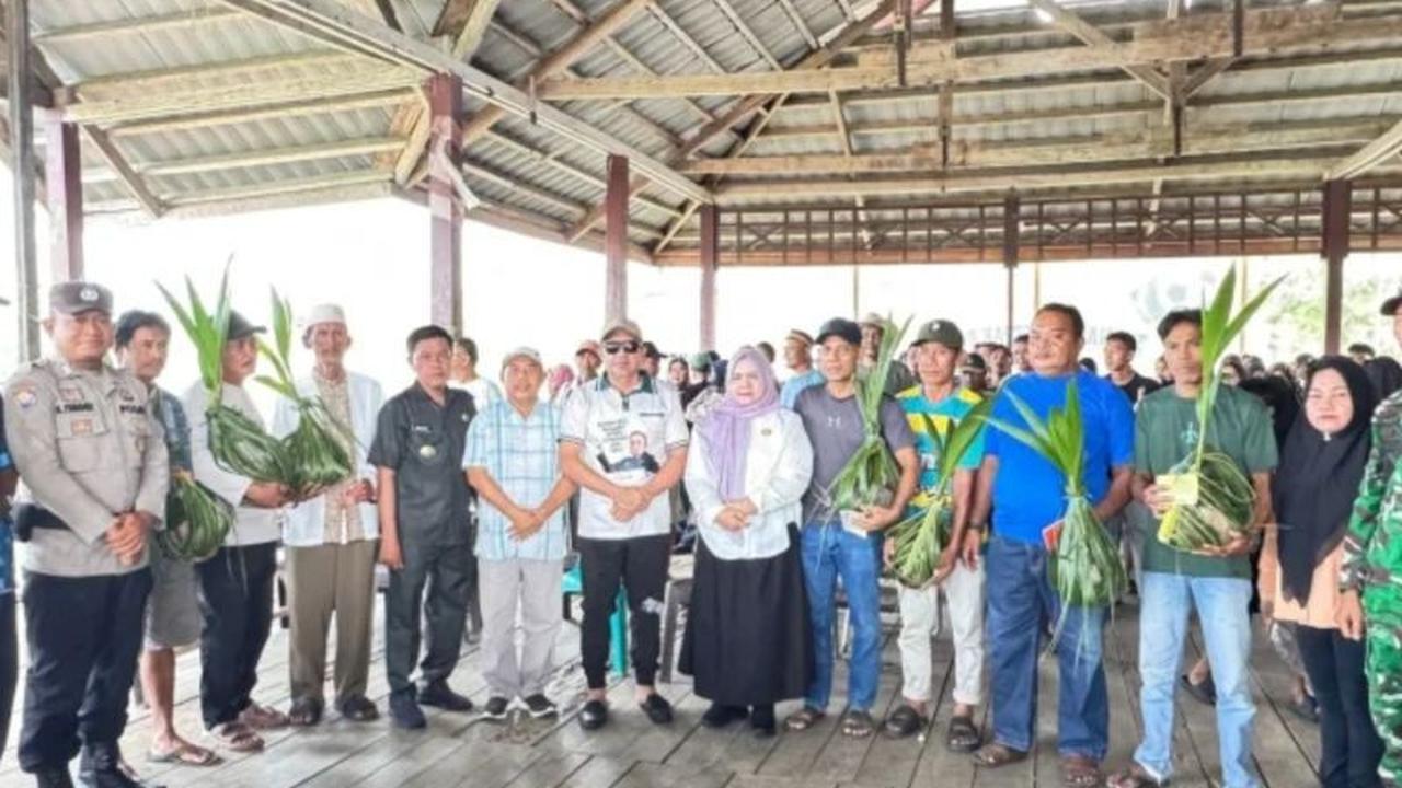 Pemkab Touna Salurkan Bantuan Bibit Kelapa, Dorong Produktivitas Petani Lokal