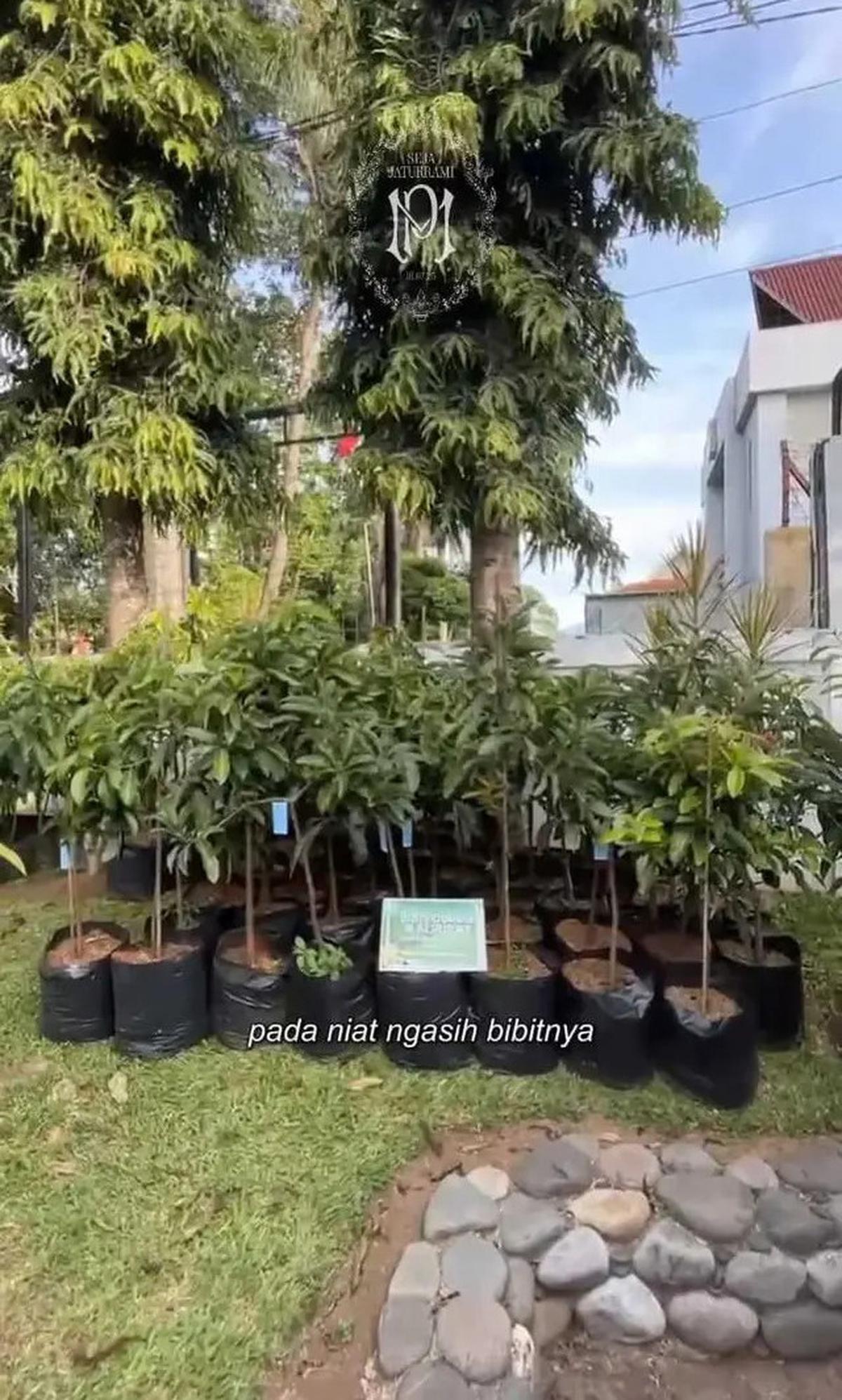 Kado Unik di Pernikahan Putri Karlina Menantu Dedi Mulyadi, Bukan Karangan Bunga