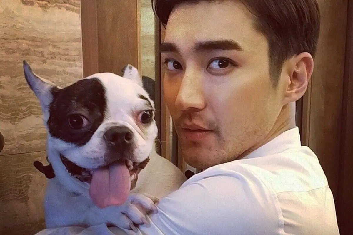 [Bintang] Choi Siwon