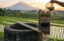Cara Mudah dan Cepat Menjernihkan Air Sumur hingga Sejernih Kaca