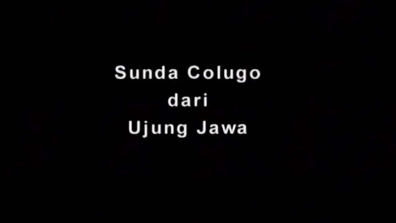 Potret Menembus Batas: Sunda Kalugo dari Ujung Jawa