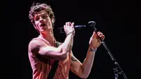 Turun Panggung, Shawn Mendes Menyalami Penonton Konser