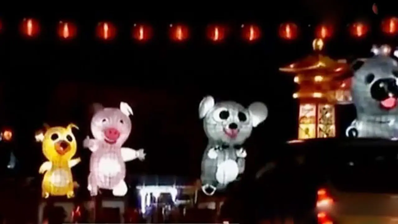 Lampion Shio Raksasa