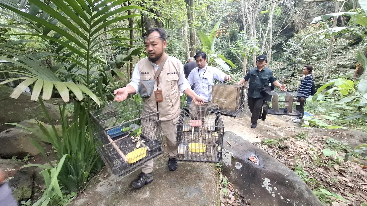 Modus Baru Penyelundupan Satwa Asal Pekanbaru ke Pulau Jawa Terbongkar di Lampung, 807 Burung Disembunyikan di Sasis Kendaraan Truk Ekspedisi