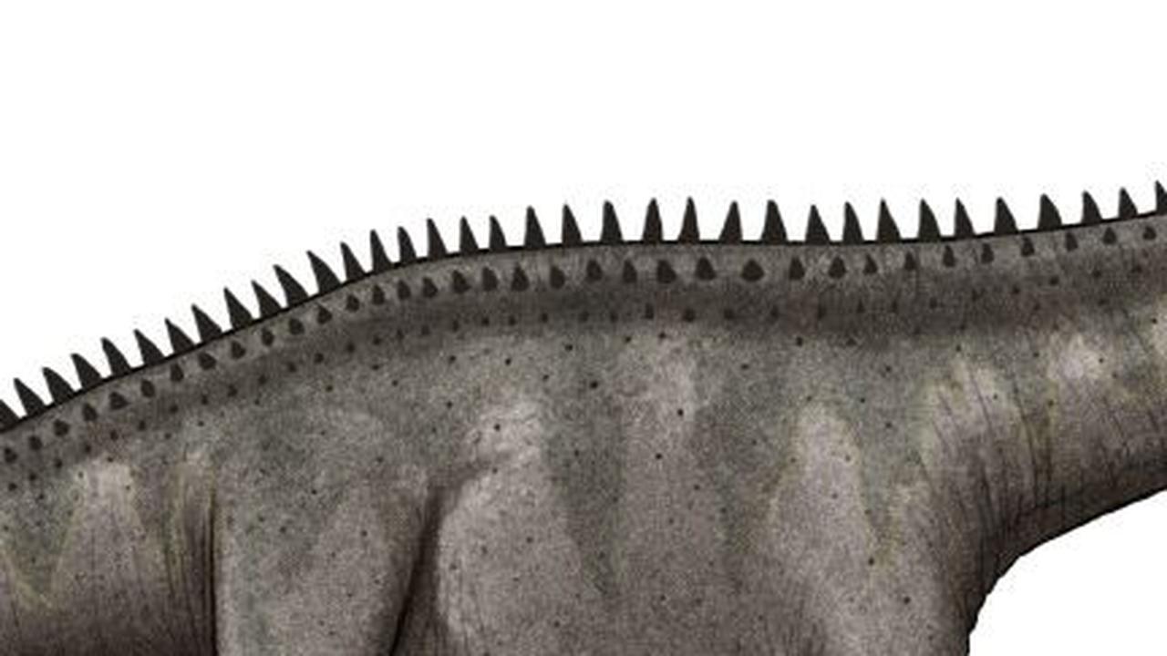 3.&nbsp;Supersaurus
