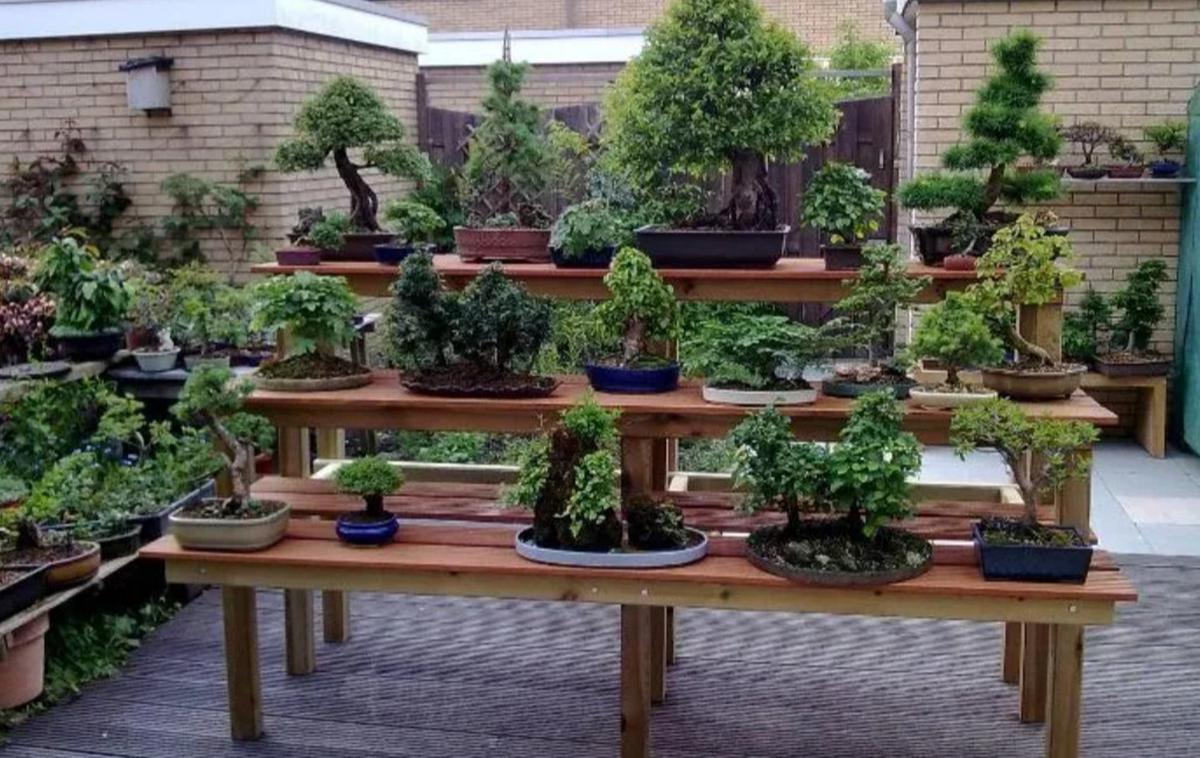 15 Inspirasi taman kering dalam rumah dengan berbagai tema