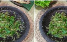 Sambal Asal Garut Ini Jadi Warisan Budaya Tak Benda Indonesia, Ini Keistimewaannya
