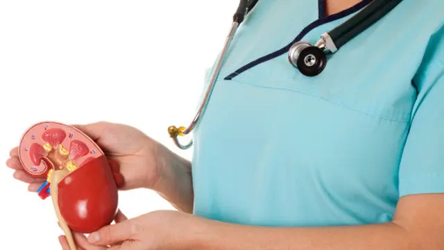 Manfaat Jeruk Bagi Tubuh, Tak Hanya Kaya Vitamin C