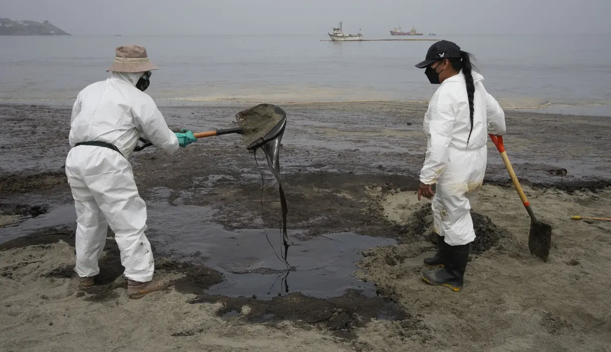 Pekerja mengenakan pakaian pelindung membersihkan Pantai Conchitas yang terkontaminasi tumpahan minyak, di Ancon, Peru, Kamis (20/1/2022). Tumpahan minyak di pantai Peru disebabkan oleh gelombang dari letusan gunung berapi bawah laut di negara Pasifik Selatan Tonga. (AP Photo/Martin Mejia)