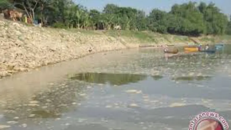 Ilustrasi pencemaran sungai