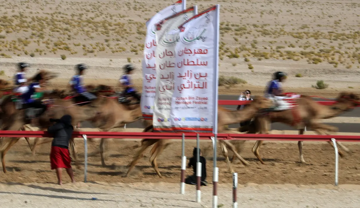 Para joki memacu untanya dalam balap unta selama festival warisan Sheikh Sultan Bin Zayed al-Nahyan di Abu Dhabi, Uni Emirat Arab (10/2). (AFP/Karim Sahib)