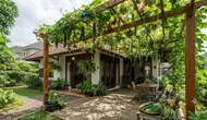 7 Ide Pergola dari Tanaman Sayur Rambat, Halaman Jadi Teduh dan Produktif