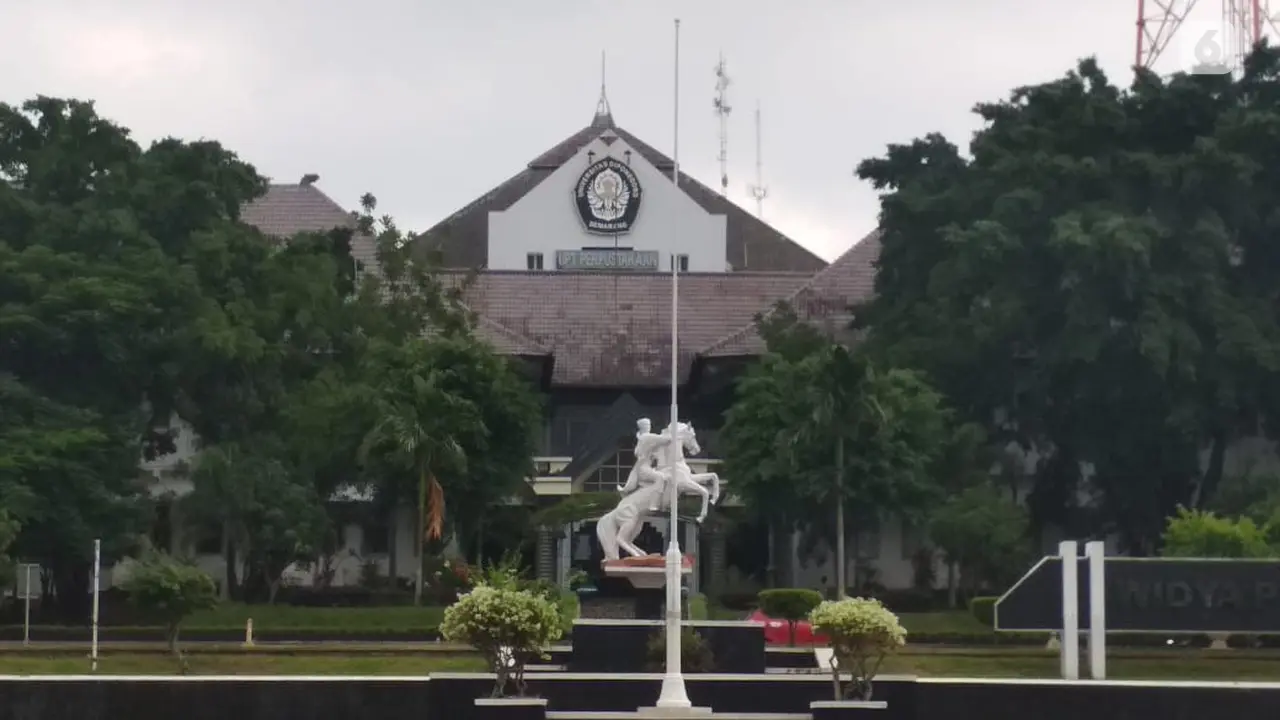 undip