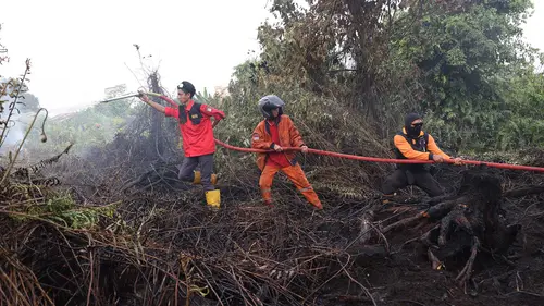 Karhutla Hanguskan 107 Ribu Hektare Hutan dan Lahan di Indonesia