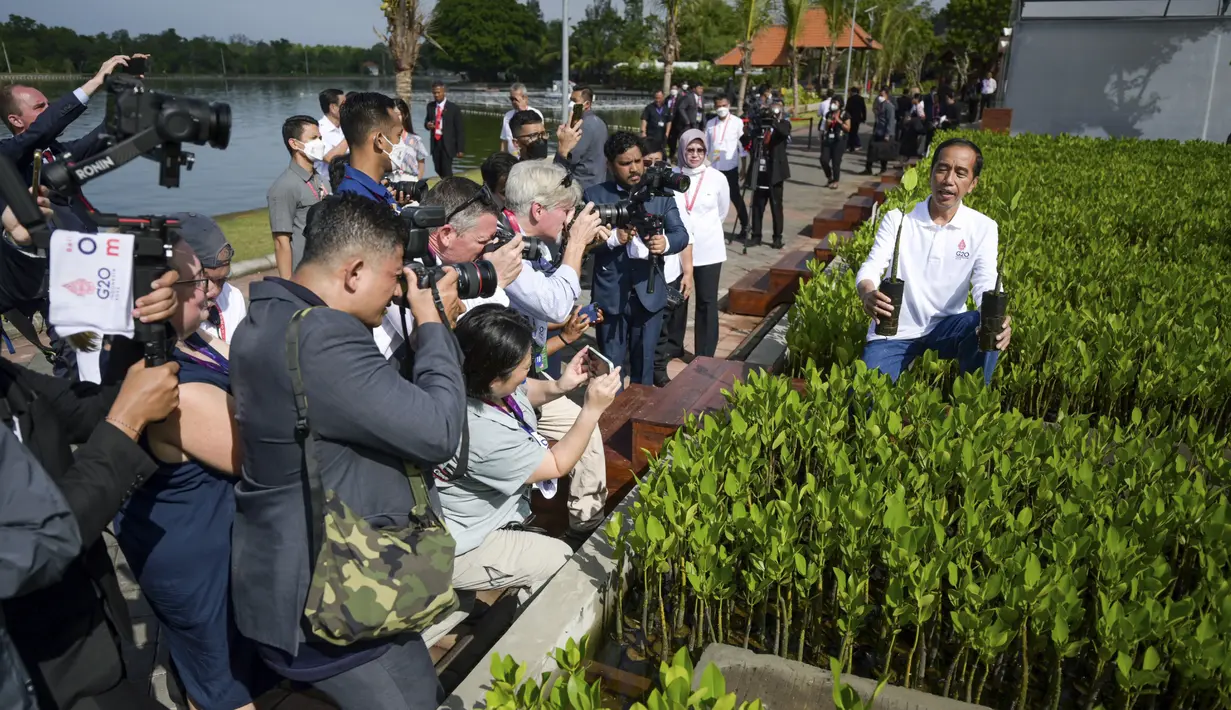 Presiden Indonesia Joko Widodo menunjukkan area pembibitan mangrove kepada wartawan sebagai bagian dari rangkaian agenda pertemuan KTT G20 di Hutan Mangrove Taman Hutan Raya Ngurah Rai, Denpasar, Bali, Indonesia, Rabu (16/11/2022). Agenda di Taman Hutan Raya Mangrove Ngurah Rai Bali merupakan bagian dari tema yang dipilih Presiden Joko Widodo dalam pelaksanaan KTT soal menangani krisis iklim. (Bay Ismoyo/Pool Photo via AP)