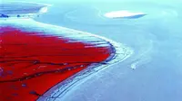Pantai Berwarna Merah Darah yang Bikin Takjub