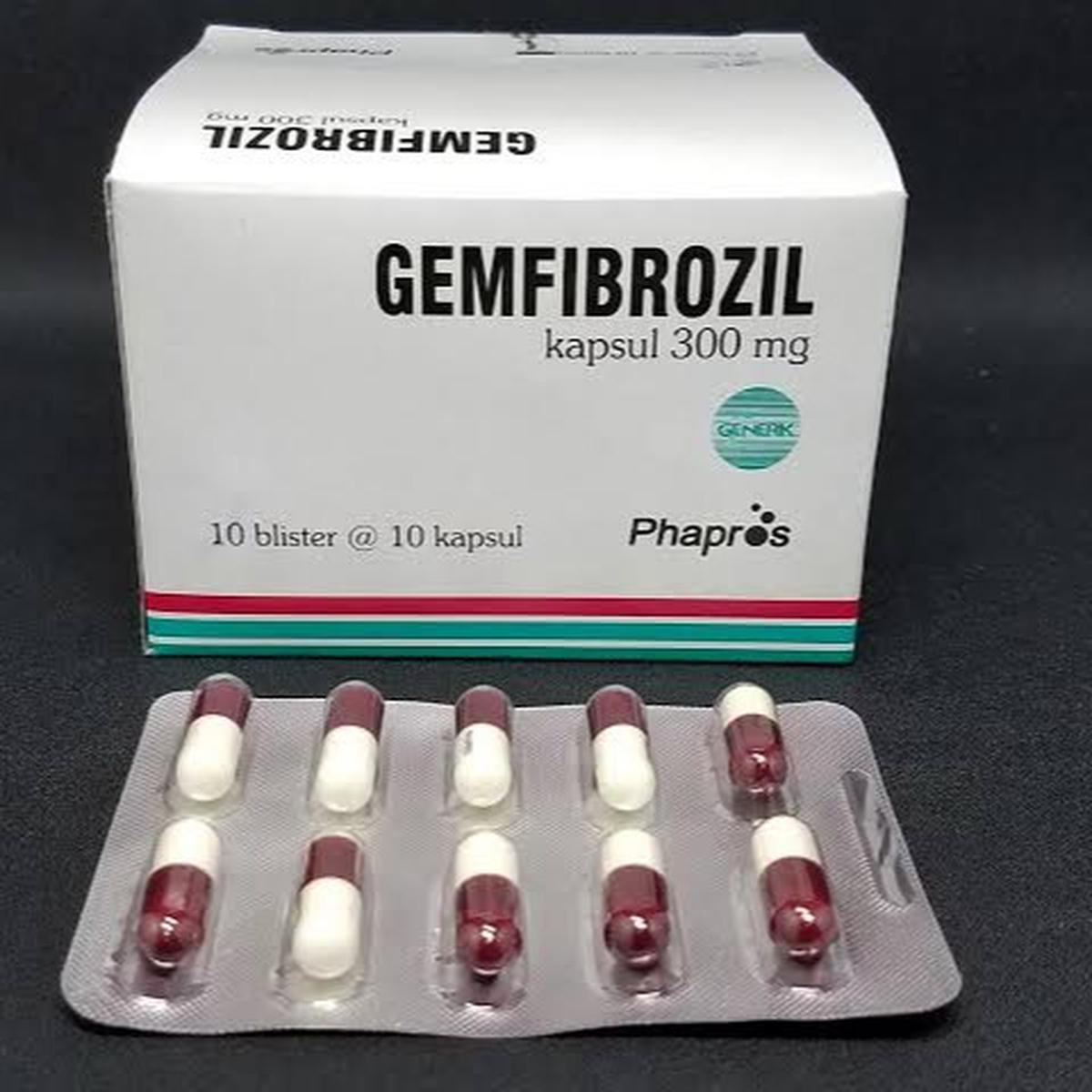 gemfibrozil