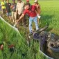 Seorang petani di Kabupaten Blora bagian selatan meninggal dunia usai tersengat listrik jebakan tikus.&nbsp; (Liputan6.com/ Ahmad Adirin)