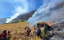 Kebakaran Gunung Bromo Meluas hingga 10 Hektare, Petugas Kewalahan