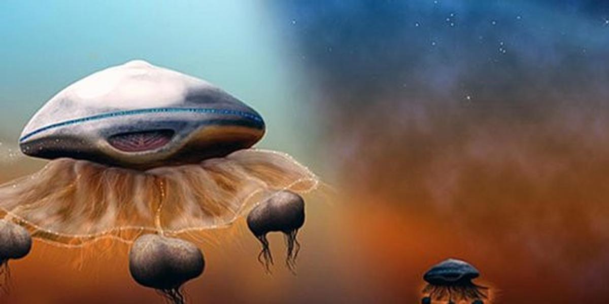 Air di Mars adalah tanda adanya kehidupan