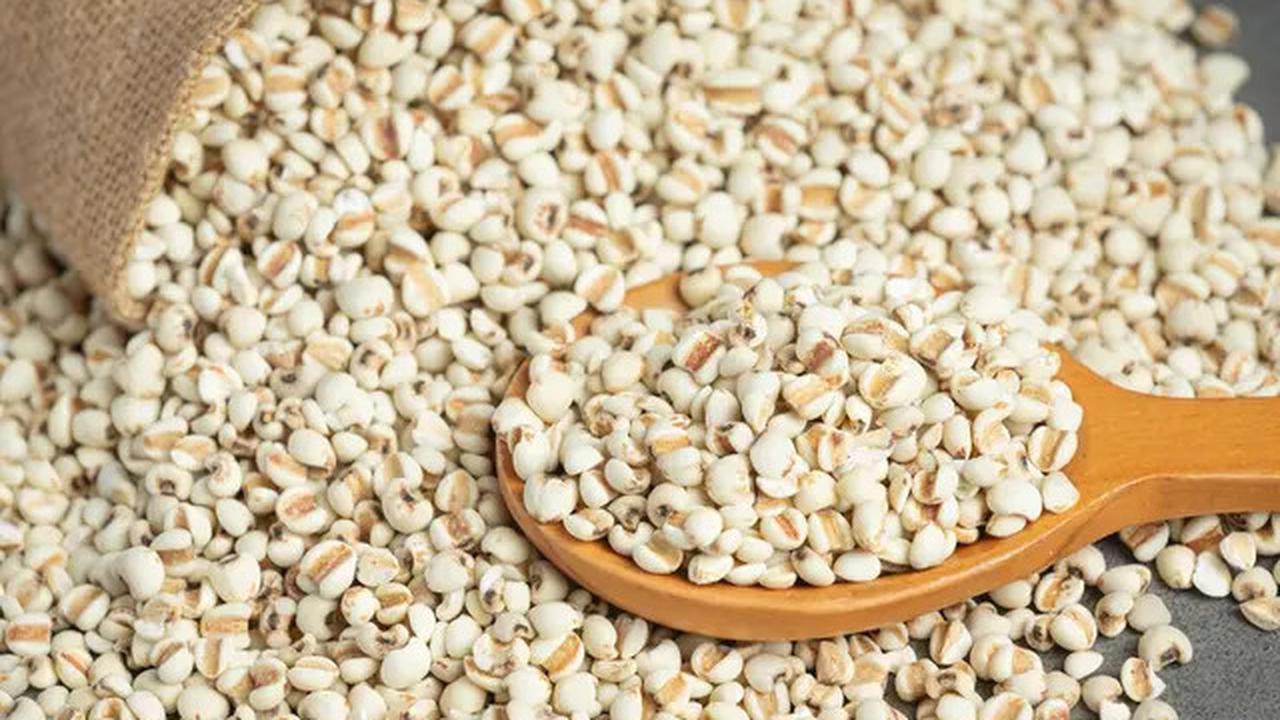 Pilihan Menu Diet Pengganti Nasi yang Mudah dan Kaya Nutrisi