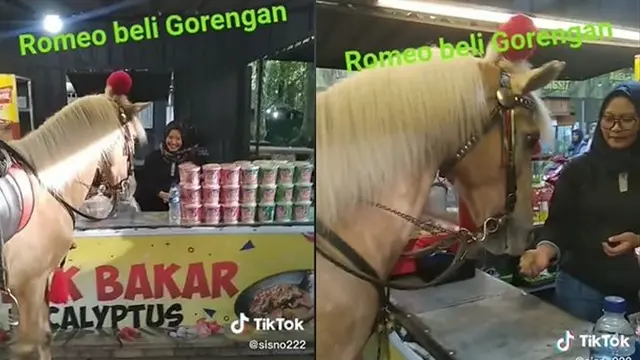 Aksi Kocak Kuda 'Romeo' Berlari Sendiri Jajan Gorengan, Bikin Penjualnya Ketawa