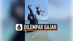 THUMBNAIL GAJAH