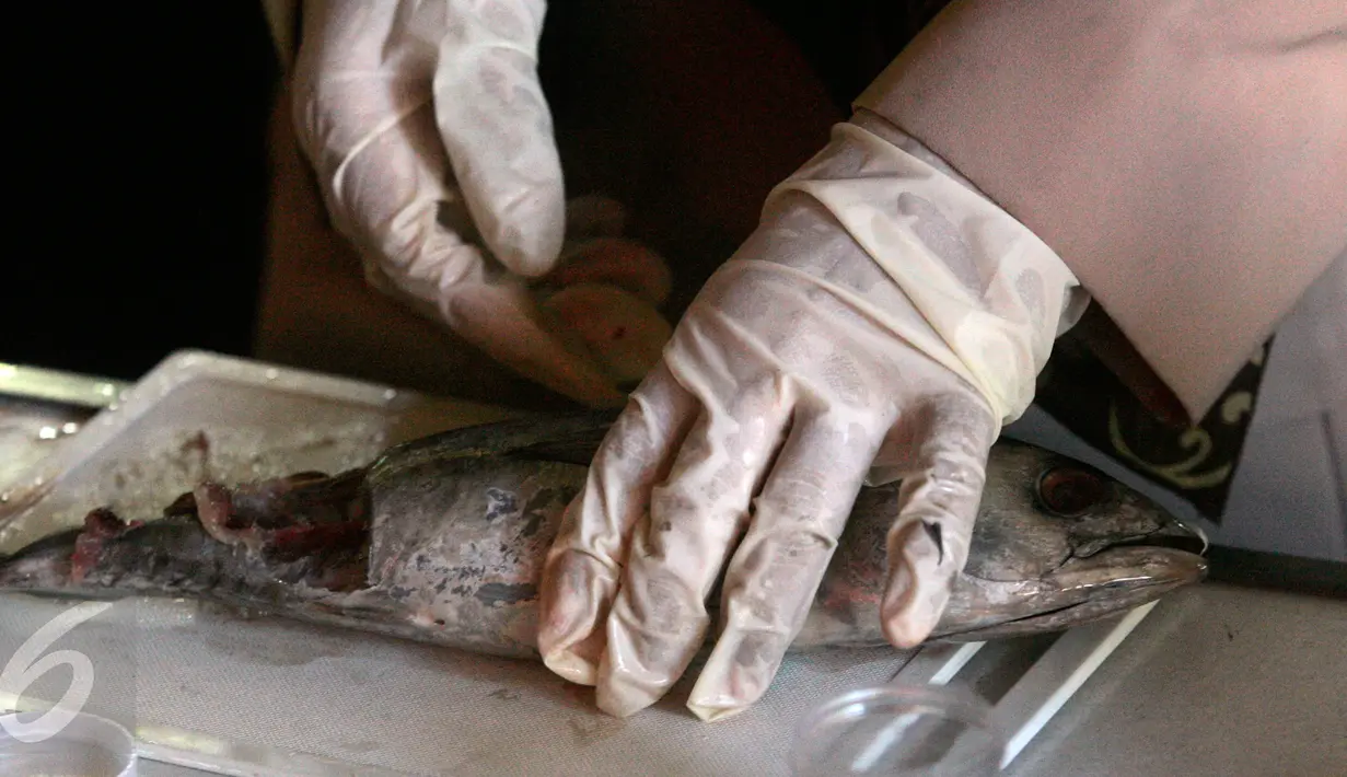 Petugas menguji sampel ikan yang diambil dari pedagang pasar Beringharjo, Yogyakarta, (7/6). Pada bulan bakti karantina dan mutu hasil perikanan, petugas melakukan pemeriksaan untuk menghindari beredarnya ikan berformalin. (Liputan6.com/Boy Harjanto)