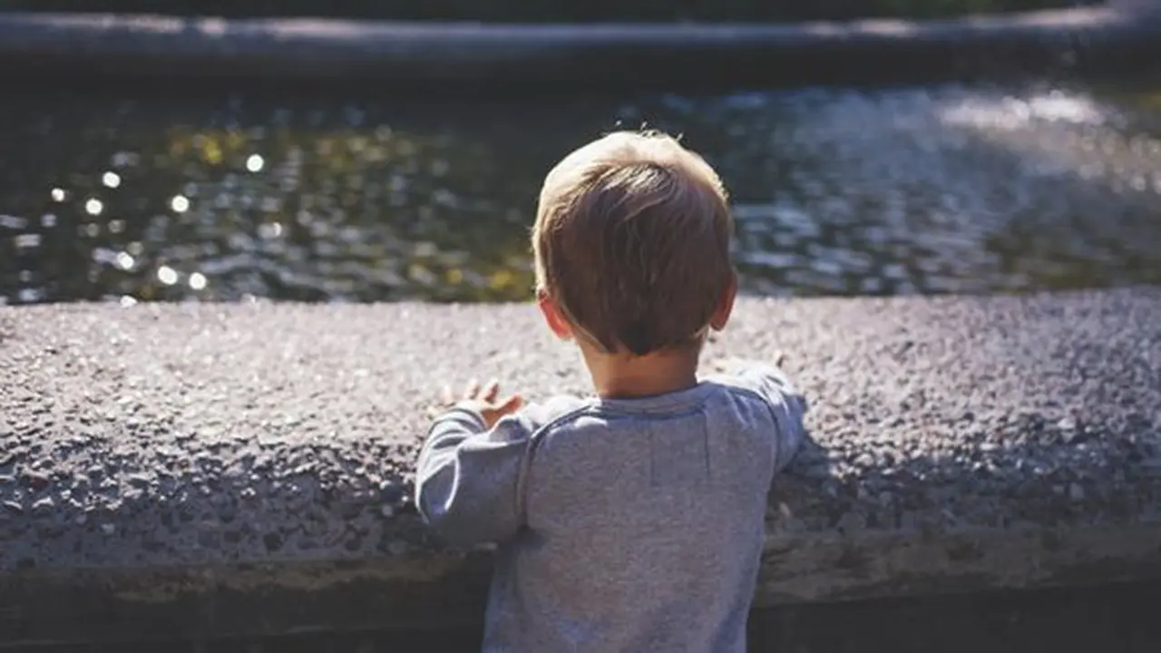 ilustrasi copyright pexels.com/freestock.org