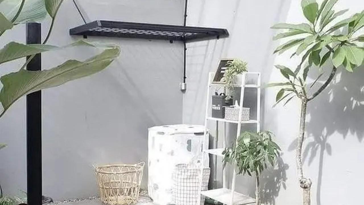 Model Taman Minimalis di Dalam Rumah yang Bikin Hunian Asri, Simak Rekomendasinya