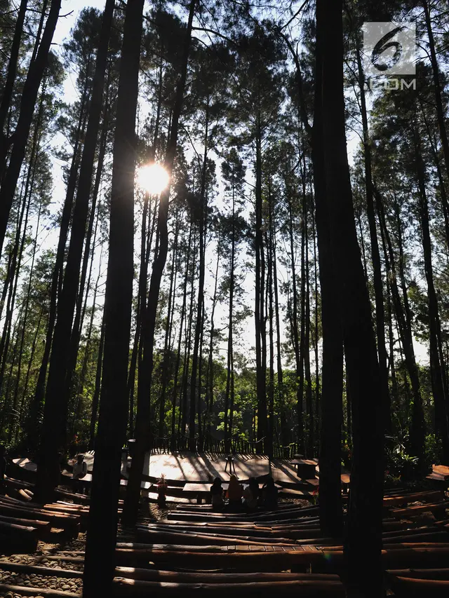 Serunya Menjelajahi Desa Wisata Kaki Langit Mangunan Dengan Mobil Jip