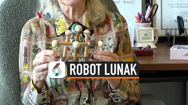 robot lunak