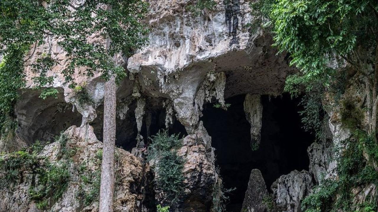 Gua Batu Hapu: Pesona Warisan Geologi Meratus yang Memukau Dunia